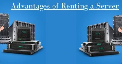 Advantages of Renting a Server
