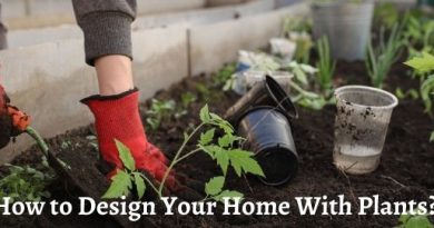 How to Design Your Home With Plants