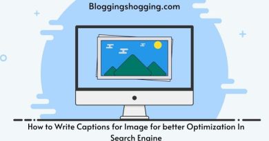 How to Write Captions for Image for better Optimization In Search Engine